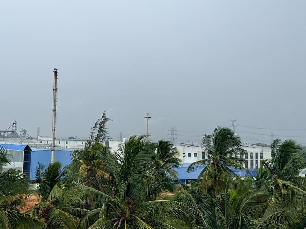 Processing plant